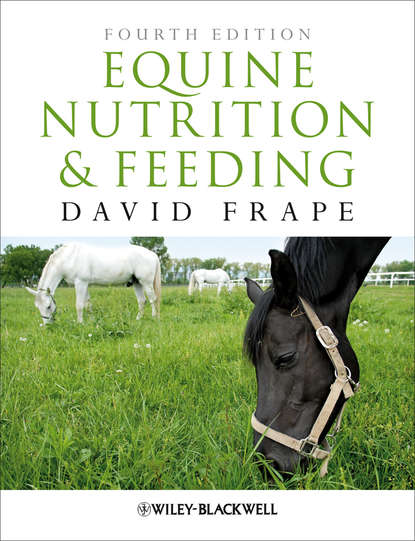 Скачать книгу Equine Nutrition and Feeding