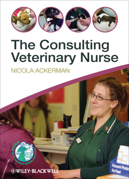 Скачать книгу The Consulting Veterinary Nurse