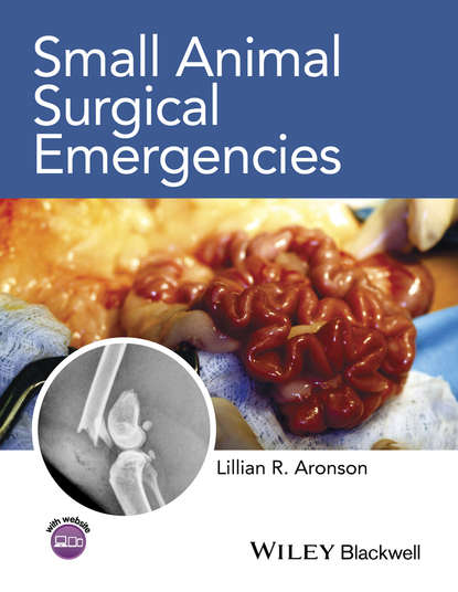 Скачать книгу Small Animal Surgical Emergencies