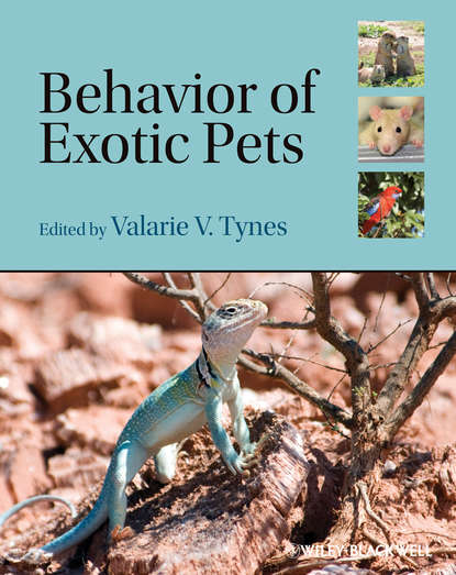 Скачать книгу Behavior of Exotic Pets