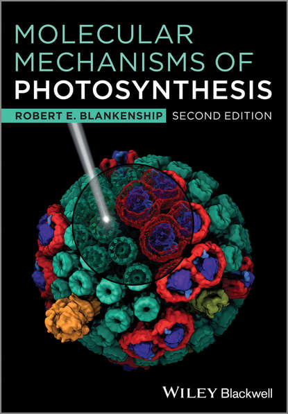Скачать книгу Molecular Mechanisms of Photosynthesis