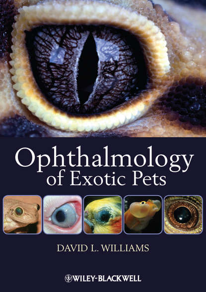 Скачать книгу Ophthalmology of Exotic Pets
