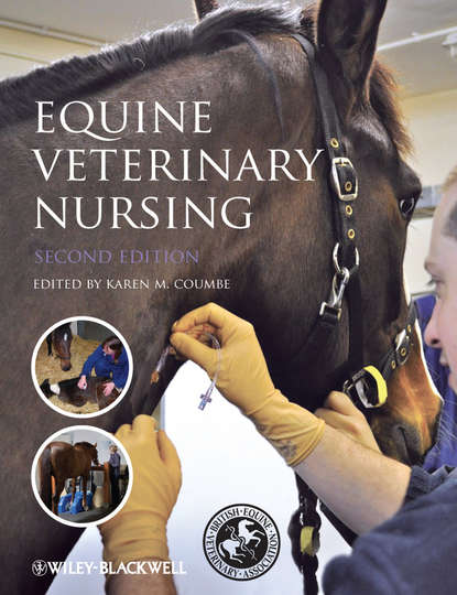 Скачать книгу Equine Veterinary Nursing