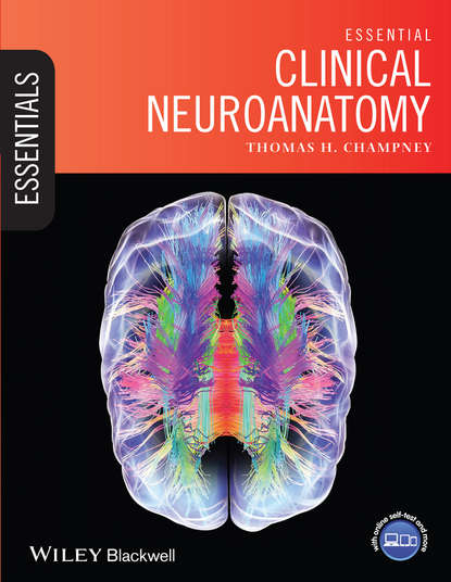 Скачать книгу Essential Clinical Neuroanatomy