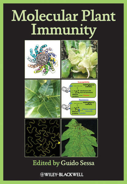 Скачать книгу Molecular Plant Immunity