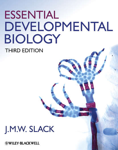 Скачать книгу Essential Developmental Biology