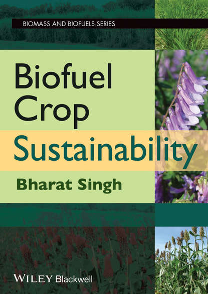 Скачать книгу Biofuel Crop Sustainability