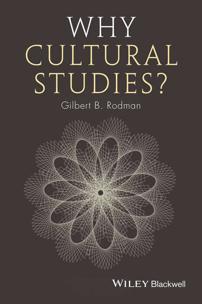 Скачать книгу Why Cultural Studies?