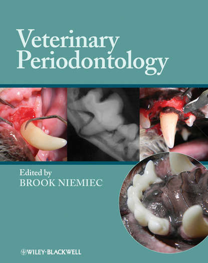 Скачать книгу Veterinary Periodontology