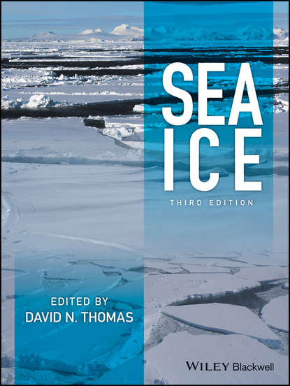 Скачать книгу Sea Ice