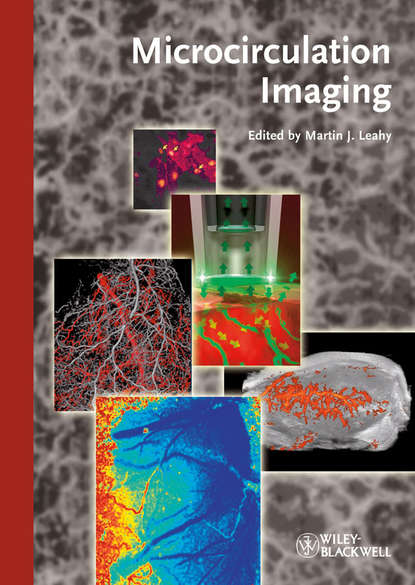 Скачать книгу Microcirculation Imaging