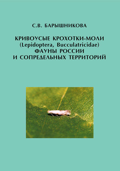 Скачать книгу Кривоусые крохотки-моли (Lepidoptera, Bucculatricidae) фауны России и сопредельных территорий