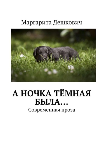 Скачать книгу А Ночка тёмная была… Современная проза