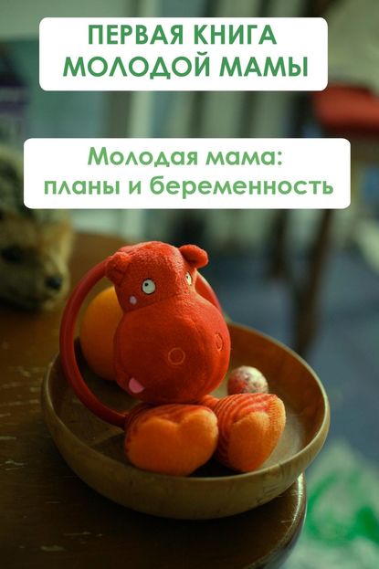 Скачать книгу Молодая мама: планы и беременность