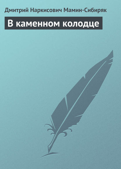 Скачать книгу В каменном колодце