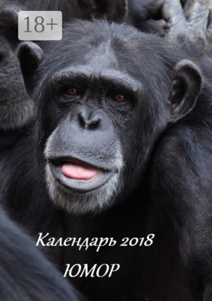 Календарь 2018. Юмор