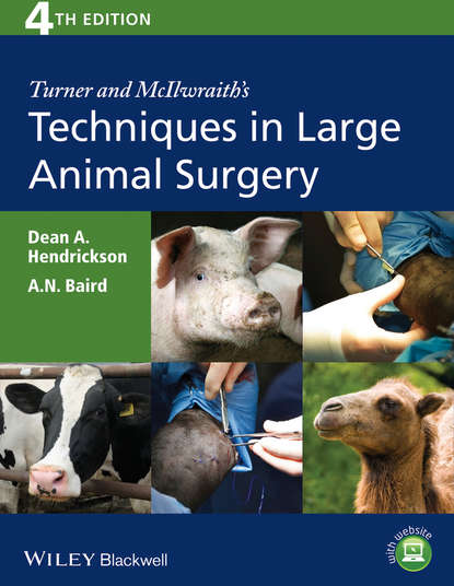 Скачать книгу Turner and McIlwraith's Techniques in Large Animal Surgery