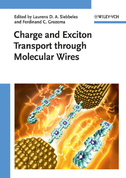 Скачать книгу Charge and Exciton Transport through Molecular Wires