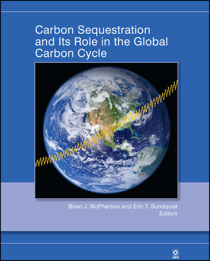 Скачать книгу Carbon Sequestration and Its Role in the Global Carbon Cycle