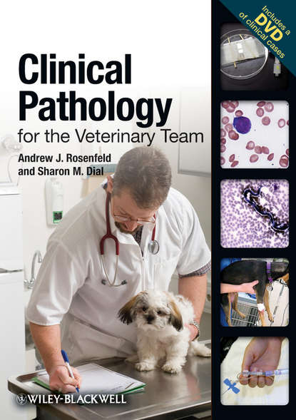 Скачать книгу Clinical Pathology for the Veterinary Team