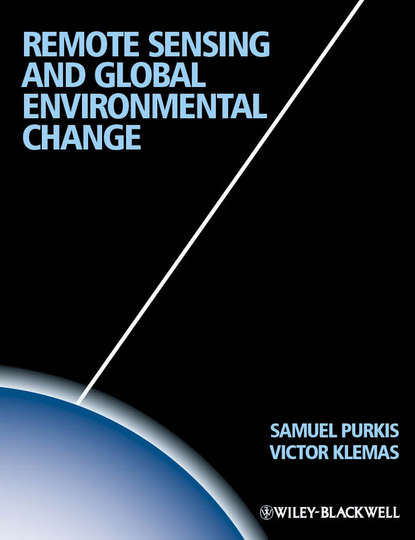Скачать книгу Remote Sensing and Global Environmental Change