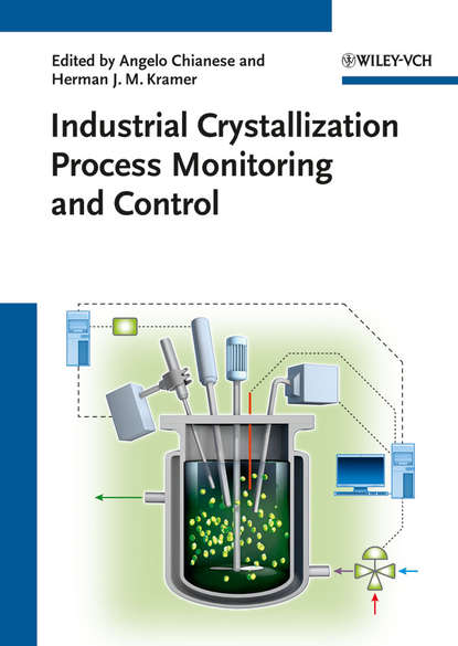 Скачать книгу Industrial Crystallization Process Monitoring and Control