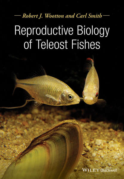 Скачать книгу Reproductive Biology of Teleost Fishes