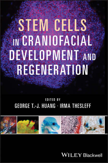 Скачать книгу Stem Cells in Craniofacial Development and Regeneration