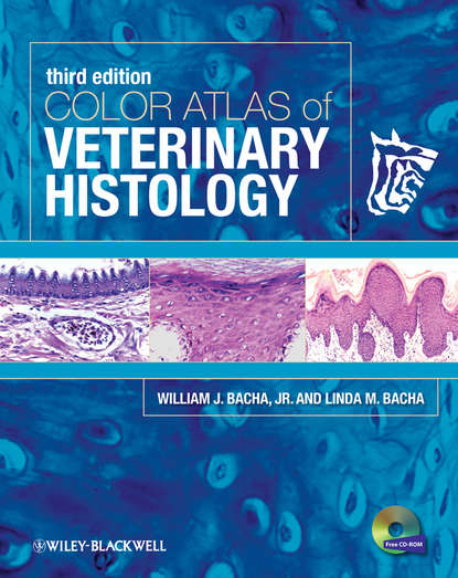 Скачать книгу Color Atlas of Veterinary Histology