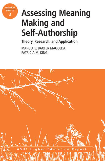 Скачать книгу Assessing Meaning Making and Self-Authorship: Theory, Research, and Application. ASHE Higher Education Report 38:3
