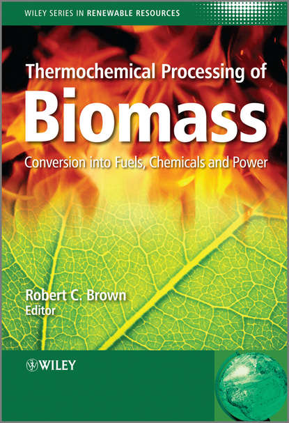 Скачать книгу Thermochemical Processing of Biomass. Conversion into Fuels, Chemicals and Power