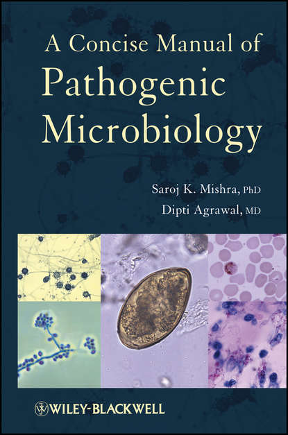 Скачать книгу A Concise Manual of Pathogenic Microbiology