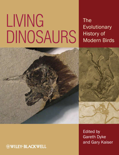 Скачать книгу Living Dinosaurs. The Evolutionary History of Modern Birds
