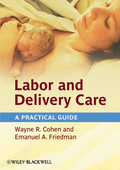 Скачать книгу Labor and Delivery Care. A Practical Guide