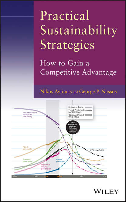 Скачать книгу Practical Sustainability Strategies. How to Gain a Competitive Advantage