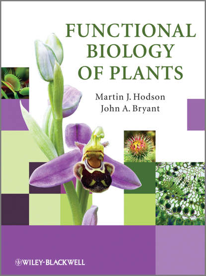 Скачать книгу Functional Biology of Plants