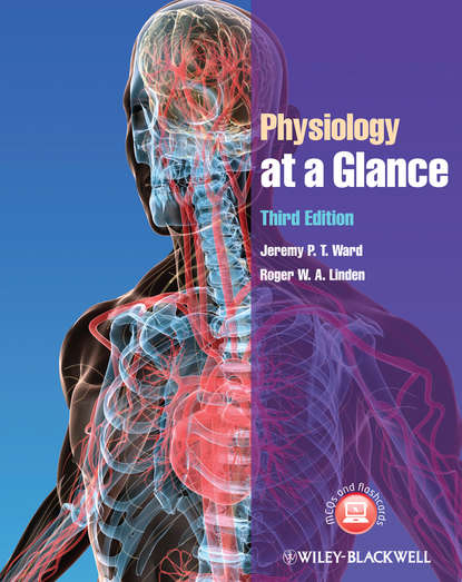 Скачать книгу Physiology at a Glance