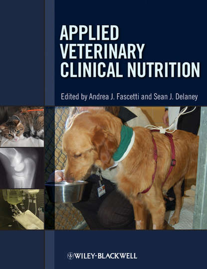 Скачать книгу Applied Veterinary Clinical Nutrition