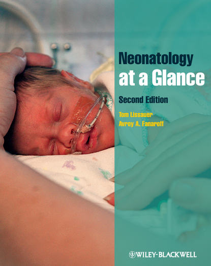 Скачать книгу Neonatology at a Glance