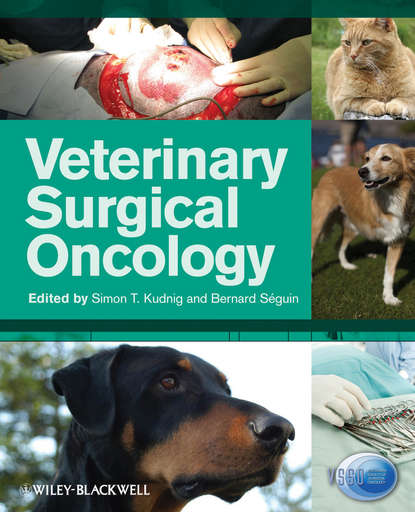 Скачать книгу Veterinary Surgical Oncology