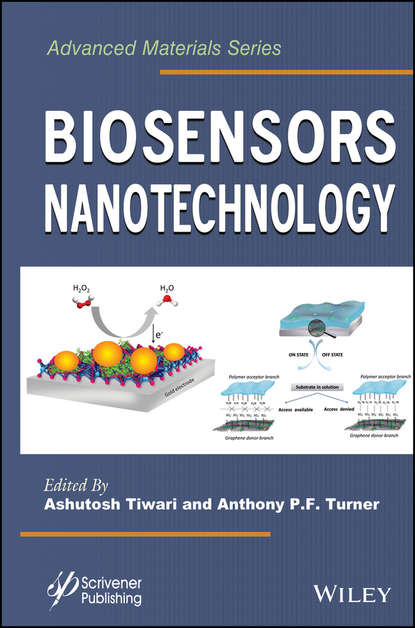 Скачать книгу Biosensors Nanotechnology