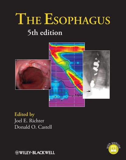 Скачать книгу The Esophagus