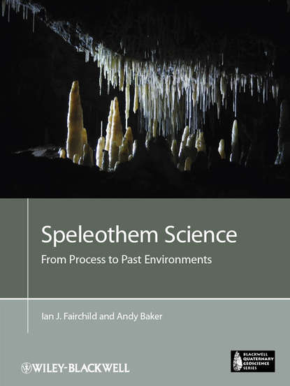 Скачать книгу Speleothem Science. From Process to Past Environments