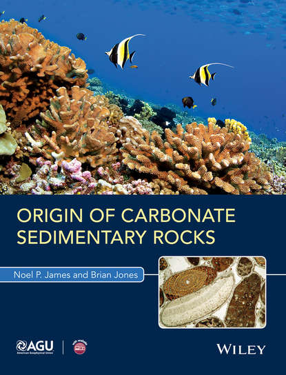 Скачать книгу Origin of Carbonate Sedimentary Rocks