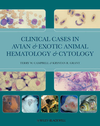 Скачать книгу Clinical Cases in Avian and Exotic Animal Hematology and Cytology