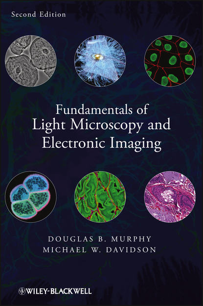 Скачать книгу Fundamentals of Light Microscopy and Electronic Imaging