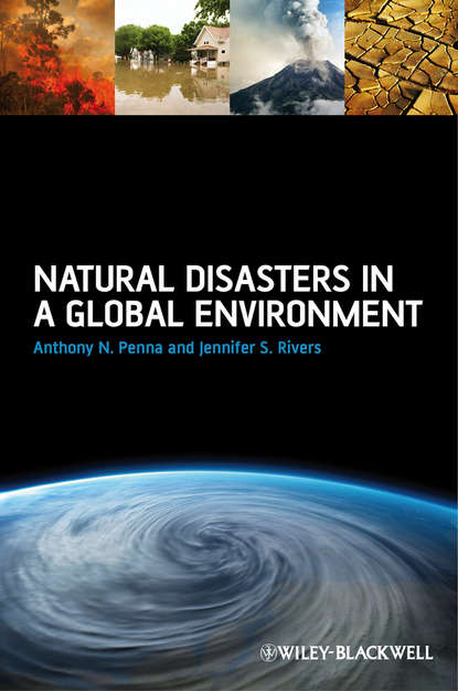 Скачать книгу Natural Disasters in a Global Environment