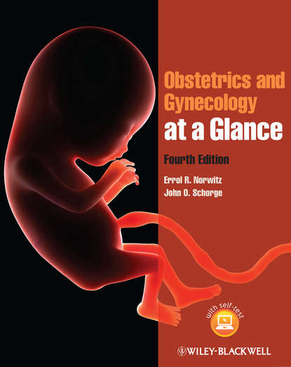 Скачать книгу Obstetrics and Gynecology at a Glance