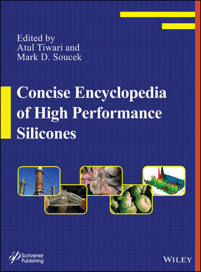 Скачать книгу Concise Encyclopedia of High Performance Silicones