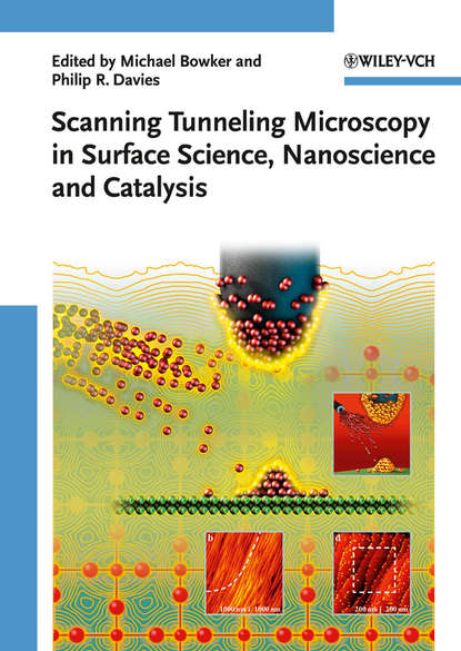 Скачать книгу Scanning Tunneling Microscopy in Surface Science